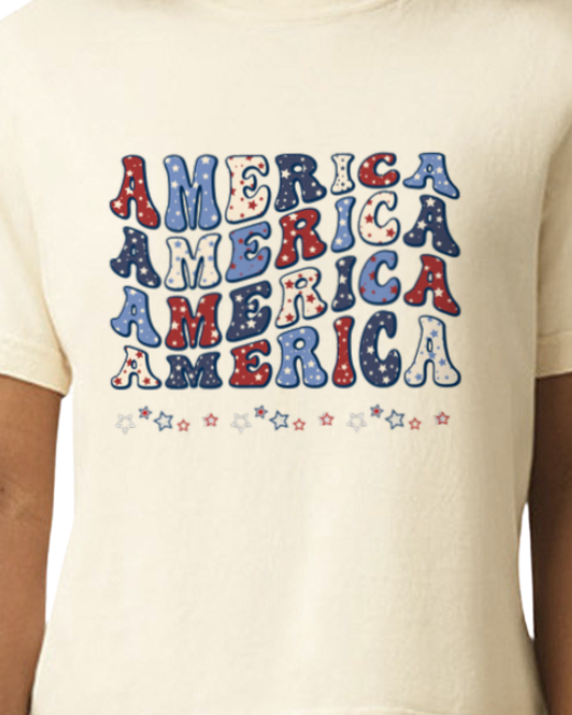 America - Land of Free. Heavyweight women's Boxy Tee