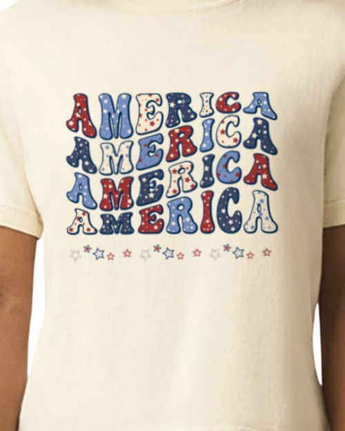 America - Land of Free. Heavyweight women's Boxy Tee