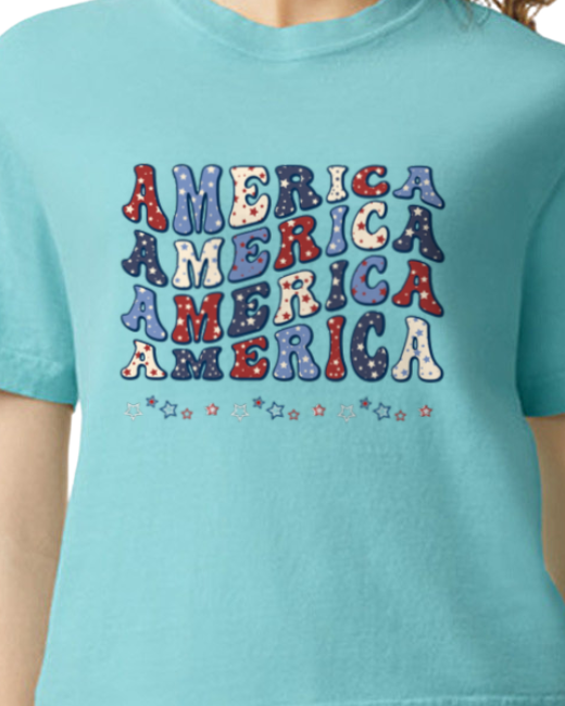 America - Land of Free. Heavyweight women's Boxy Tee
